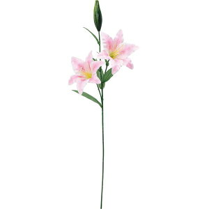 yԁzYDM/JTuJ×2/FA-7569-Py01z ԁiA[eBtBVt[j  ԍށusv JTuJ