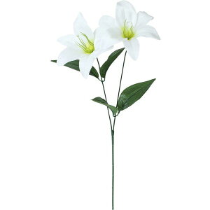 yԁzYDM/Te×2/FFK-0009-Wy01z ԁiA[eBtBVt[j  ԍށusv iSjE[