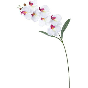 yԁzYDM/R`E[tt/FA-7198-L/Wy01z ԁiA[eBtBVt[j  ԍށusv R`EiӒj