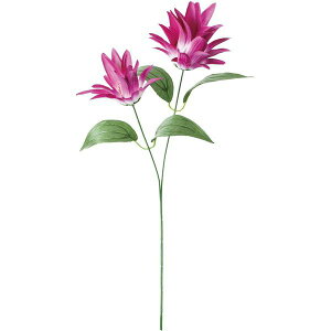 yԁzYDM/WW[/FF-3121-LAVy01z ԁiA[eBtBVt[j  ԍށusv WW[