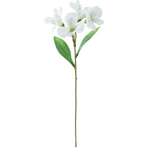 yԁzYDM/AXgA/FFK-0010-Wy01z ԁiA[eBtBVt[j  ԍށusv AXgA