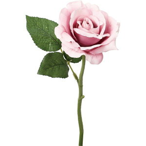 yԁzYDM/ZjeB[Y/FFH-0056-Py01z ԁiA[eBtBVt[j  ԍށu͍sv o