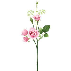 yԁzYDM/XC[g[Y/FFH-0066-Py01z ԁiA[eBtBVt[j  ԍށu͍sv o