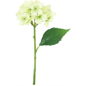 yԁzYDM/nChWA/FFH-0063-GRy01z ԁiA[eBtBVt[j  ԍށusv izԁj