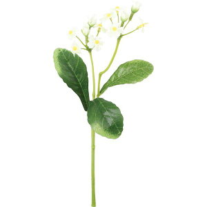 yԁzYDM/XiOT/FFH-0061-CRy01z ԁiA[eBtBVt[j  ԍށusv Yȑ