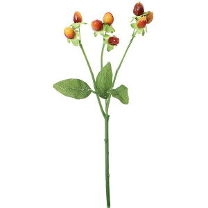 yԁzYDM/qyJ/FGH-0022-Ry01z ԁiA[eBtBVt[j ԎAtFCNt[c qyJ