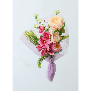   yԁzYDM/ sNsIj[/FPY-003y01z dp p  tďH~