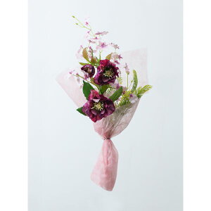   yԁzYDM/ NX}X[Y/FPY-001y01z dp p  tďH~