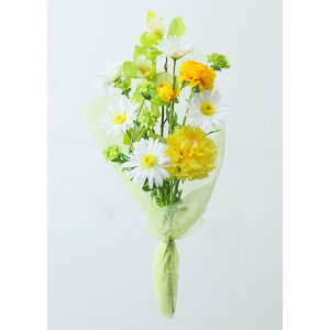   yԁzYDM/ԃCG[i/FPY-005y01z dp p  tďH~