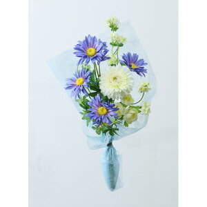   yԁzYDM/ u[fCW[/FPY-004y01z dp p  tďH~