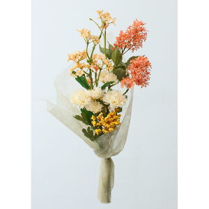   yԁzYDM/ eRb^}/FPY-009y01z dp p  tďH~