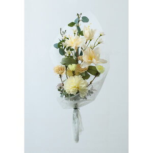   yԁzYDM/ N[[/FPY-007y01z dp p  tďH~