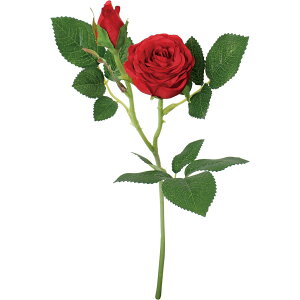 yԁzYDM/VtH[YXv[ bh/FA-7491-Ry01z ԁiA[eBtBVt[j  ԍށu͍sv o