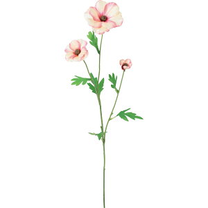 yԁzYDM/NXiLXXv[ zCgr[eB[/FA-7365-WBTy01z ԁiA[eBtBVt[j  ԍށusv iLX