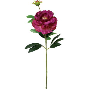 yԁzYDM/tsIj[ p[v/FA-7506-PUy01z ԁiA[eBtBVt[j  ԍށusv VNNi䉖jE{^iOjEsIj[