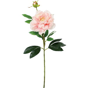 yԁzYDM/tsIj[ CgsN/FA-7506-L/Py01z ԁiA[eBtBVt[j  ԍށusv VNNi䉖jE{^iOjEsIj[