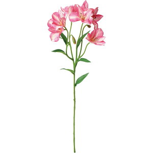 yԁzYDM/uCgAXgA T[sN/FA-7525-SAPy01z ԁiA[eBtBVt[j  ԍށusv AXgA