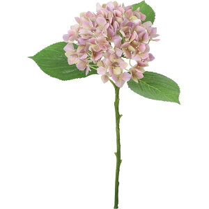 yԁzYDM/V}nChWA sN/FA-7543-Py01z ԁiA[eBtBVt[j  ԍށusv izԁj