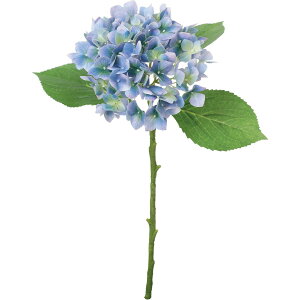 yԁzYDM/V}nChWA u[/FA-7543-BLUy01z ԁiA[eBtBVt[j  ԍށusv izԁj