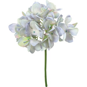 yԁzYDM/nChWAsbN zCgu[/FA-7541-W/By01z ԁiA[eBtBVt[j  ԍށusv izԁj