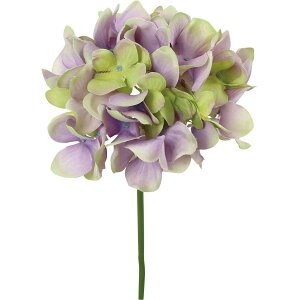 yԁzYDM/nChWAsbN p[vO[/FA-7541-PUGy01z ԁiA[eBtBVt[j  ԍށusv izԁj