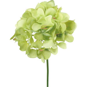 yԁzYDM/nChWAsbN O[/FA-7541-GRy01z ԁiA[eBtBVt[j  ԍށusv izԁj