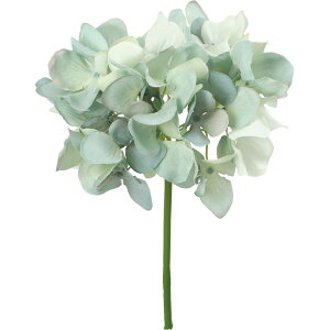 yԁzYDM/nChWAsbN O[u/FA-7541-GLBy01z ԁiA[eBtBVt[j  ԍށusv izԁj