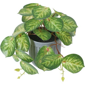 �y�l�H�ϗt�A���zYDM/�J���e�A�|�b�g �O���[��/GLA-1592-GR�y01�z ���ԁi�A�[�e�B�t�B�V�����t�����[�j ���ԗt�� ���ԁE�l�H�ϗt�A�� ���|�b�g