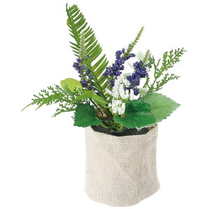 �y�l�H�ϗt�A���zYDM/�{�^�j�J���L�����o�X�|�b�g �~�b�N�X/GLA-1586-MIX�y01�z ���ԁi�A�[�e�B�t�B�V�����t�����[�j ���ԗt�� ���ԁE�l�H�ϗt�A�� ���|�b�g