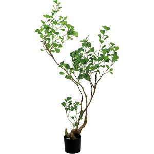 �y�l�H�ϗt�A���zYDM/125cm�t�B�J�X�g���C�A���M�����X �O���[��/GLP-1578-GR�y01�z ���� �t�� �t�F�C�N�O���[�� �l�H�ϗt�A�� �l�H���� �����`150cm������� �C���e���A �X�� �I�t�B�X ���� �f�B�X