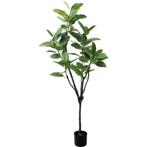 yzylHϗtAzYDM/150cmtBJXAeV} O[/GLP-1569-GR ԕiEELZsy01z ԁiA[eBtBVt[j ԗt ԁElHϗtA `150cm