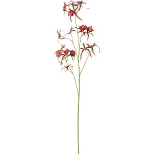 yԁzYDM/XpC_[I[Lbh o[KfB[/FA-7517-BURy01z ԁiA[eBtBVt[j  ԍށusv ijEI[Lbh