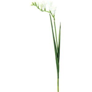 yԁzYDM/GA[t[WA/FS-7980-Wy01z ԁiA[eBtBVt[j  ԍށu͍sv t[WA