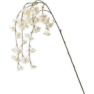 yԁzYDM//FS-7971-P/Wy01z ԁiA[eBtBVt[j  ԍށusv ij