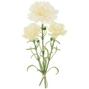 yԁzYDM/J[l[Vo`/FB-2666-CRy01z ԁiA[eBtBVt[j  ԍށusv J[l[V