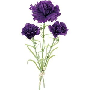 yԁzYDM/J[l[Vo`/FB-2666-PUy01z ԁiA[eBtBVt[j  ԍށusv J[l[V