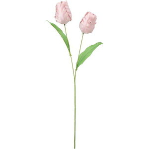 yԁzYDM/V}gpbg`[bvXv[/FS-7998-MAVy01z ԁiA[eBtBVt[j  ԍށusv `[bv