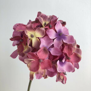 yԁzAXJ/nChWAsbN@Z[Y/A-31839-26Cy01z ԁiA[eBtBVt[j  ԍށusv izԁj