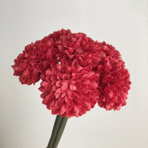 yԁzAXJ/||}o`i16{j bh/A-33164-002y01z ԁiA[eBtBVt[j  ԍށusv LNiejEs|}