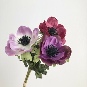 yԁzAXJ/Allo`@i13{j@007@p|v/A-32552-007y01z ԁiA[eBtBVt[j  ԍށusv All