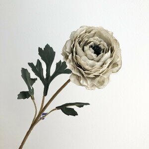 yԁzAXJ/A-39580 iLX 063@OC/A-39580-063y01z ԁiA[eBtBVt[j  ԍށusv iLX