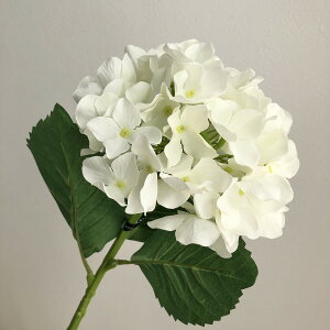 yԁzAXJ/A-32617 nChWA 001@zCg/A-32617-001y01z ԁiA[eBtBVt[j  ԍށusv izԁj