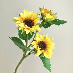 yԁzAXJ/A-32653 Tt[X3 010@CG|/A-32653-010y01z ԁiA[eBtBVt[j  ԍށu͍sv Ђ܂