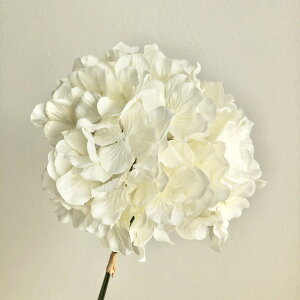 yԁzAXJ/nChWAi13{j N[zCg/A-33014-011y01z ԁiA[eBtBVt[j  ԍށusv izԁj