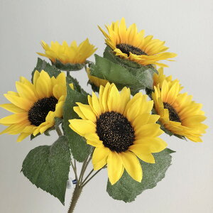 yԁzAXJ/Tt[ubV×7 CG[/A-33093-010y01z ԁiA[eBtBVt[j  ԍށu͍sv Ђ܂