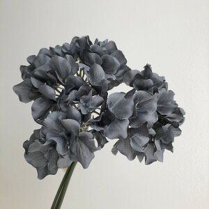 yԁzAXJ/nChWAo` (13{)@#100S X[L[ubN/A-33461-100Sy01z ԁiA[eBtBVt[j  ԍށusv izԁj