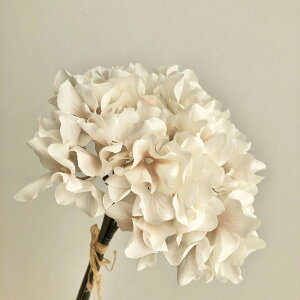 yԁzAXJ/nChWAo` (13{)@#008 x[W/A-33460-8y01z ԁiA[eBtBVt[j  ԍށusv izԁj