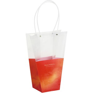 SG Wonder zone/PPobN_5p@Of[Vbh/382-008Ry07z[5] bsOpi A bsO܁Ev[g 񂰑