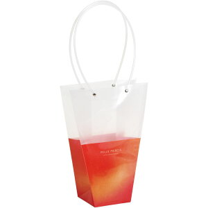 SG Wonder zone/PPobN_4p@Of[Vbh/382-009Ry07z[5] bsOpi A bsO܁Ev[g 񂰑