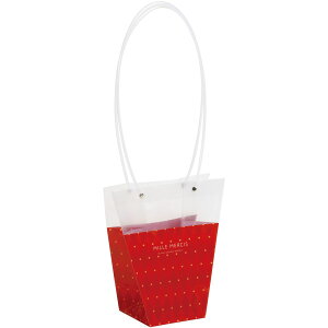 SG Wonder zone/PPobN_5p@Onhbh/382-011Ry07z[5] bsOpi A bsO܁Ev[g 񂰑